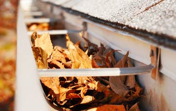 Dirt Pot gutter cleaning companies