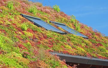Dirt Pot living roof systems