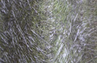 Dirt Pot fibreglass roof work